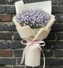 Букет цветов из:  Гипсофила в Хрустальный